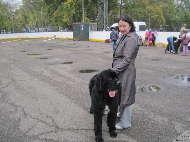 Фотография № 106790