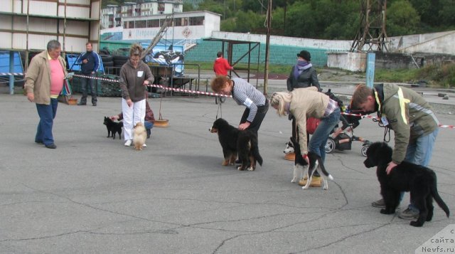 Фотография № 106808