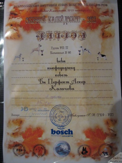 Фотография № 106812