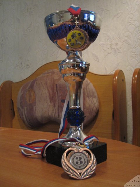 Фотография № 106813