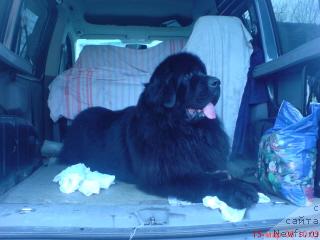 Фото: Елена Воробьёва