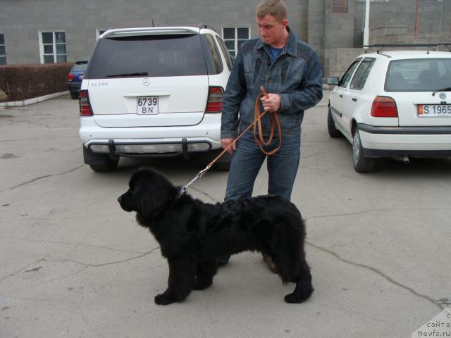 Фотография № 10701