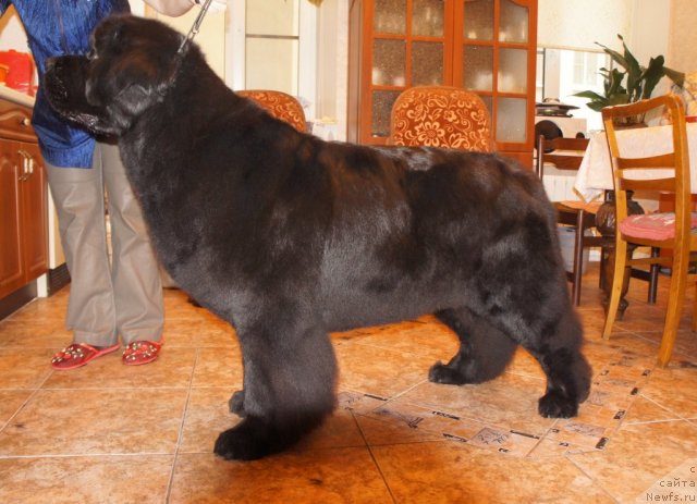 Фотография № 107010