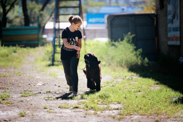 Фото: Инга Мезенцева