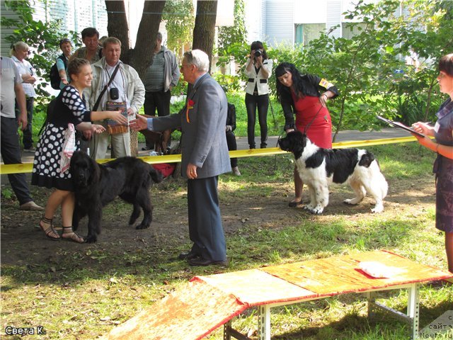 Фотография № 107096