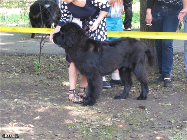 Фотография № 107097