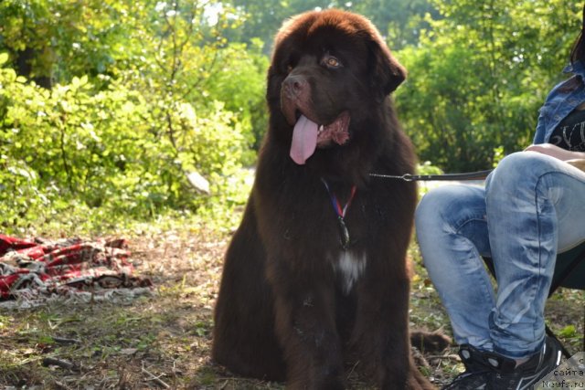 Фотография № 107103