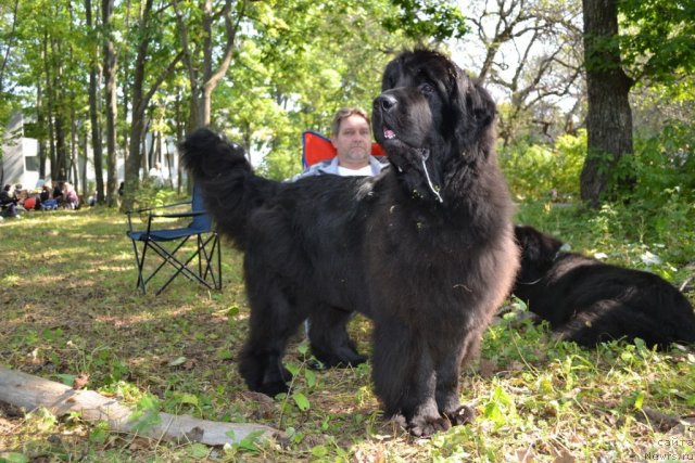 Фотография № 107115