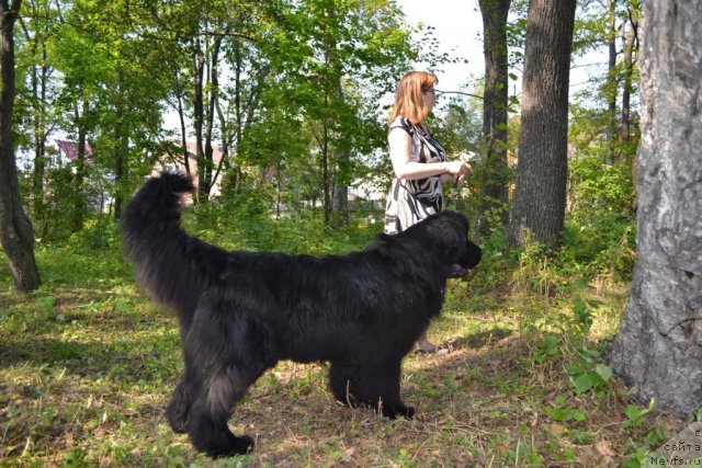 Фотография № 107116