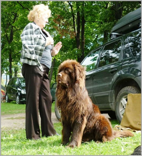 Фотография № 107132