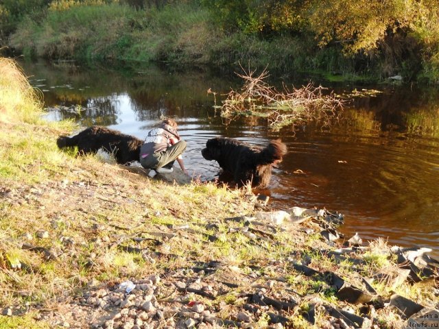 Фотография № 107134