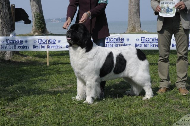 Фотография № 107145