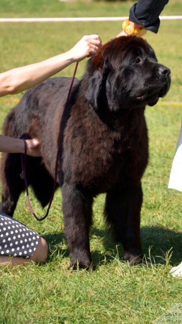 Фотография № 107156