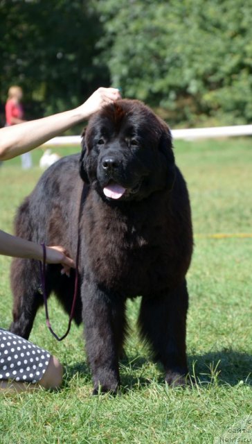 Фотография № 107159