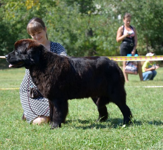 Фотография № 107160