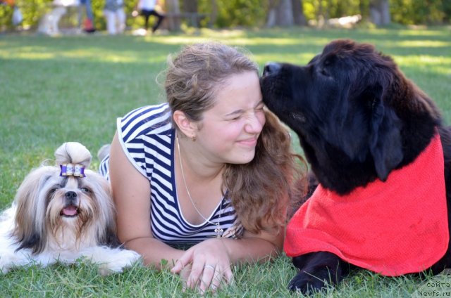 Фотография № 107165