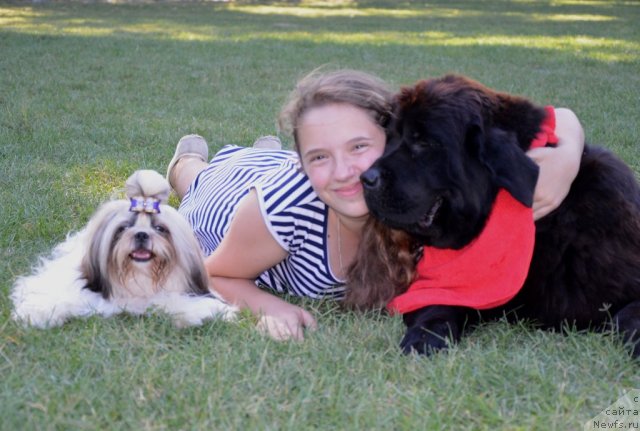 Фотография № 107166