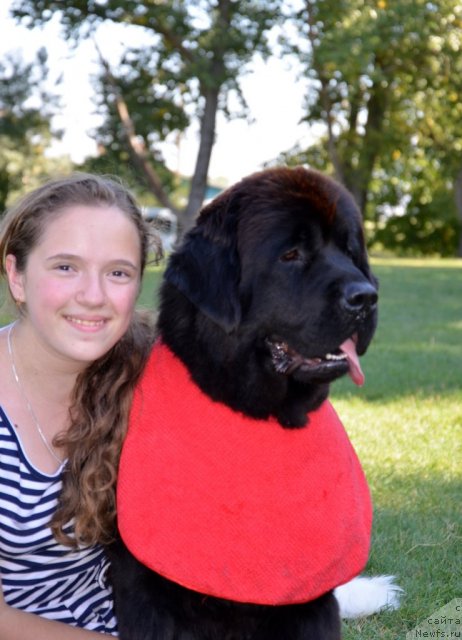 Фотография № 107168