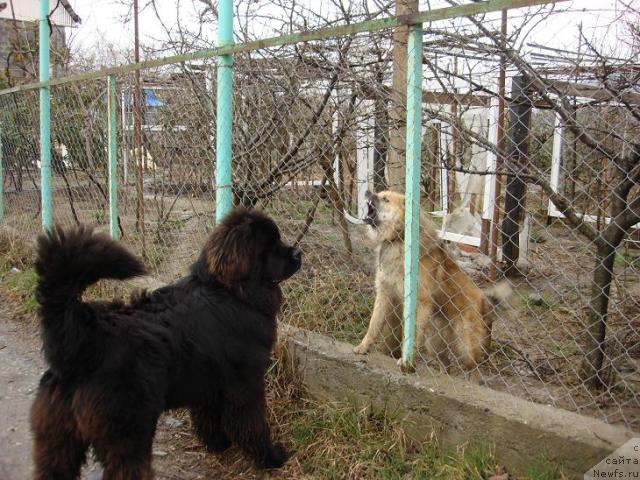 Фотография № 10722