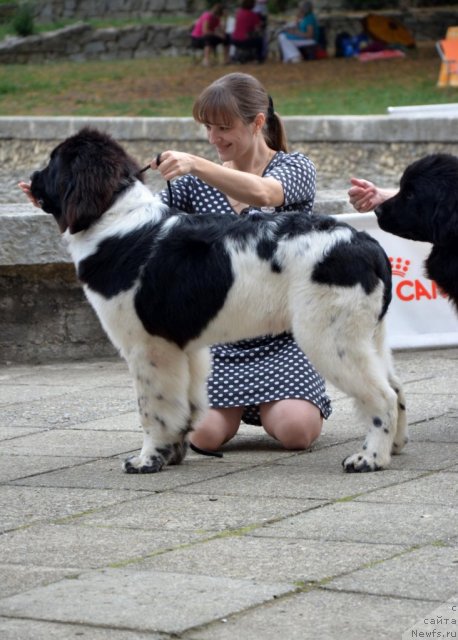 Фотография № 107225