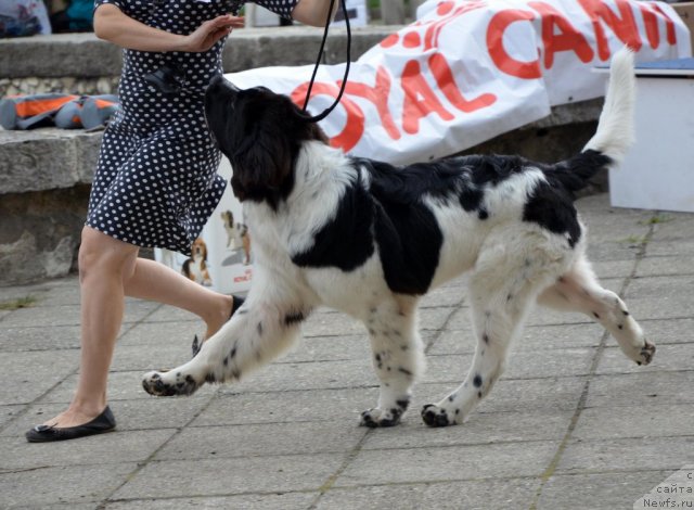 Фотография № 107228