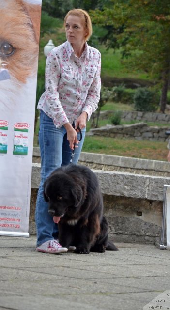 Фотография № 107230