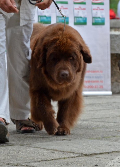 Фотография № 107249