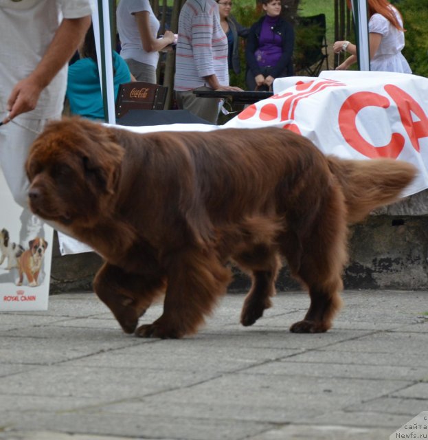 Фотография № 107252