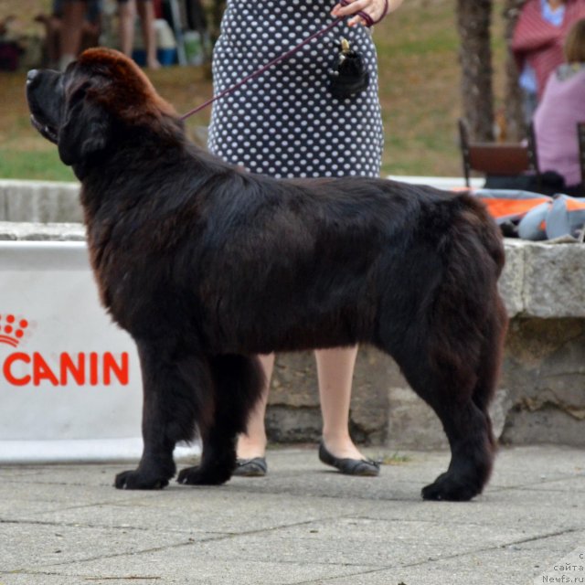 Фотография № 107256