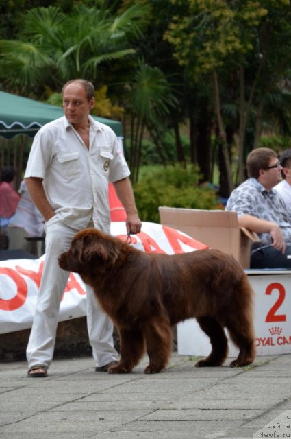 Фотография № 107257