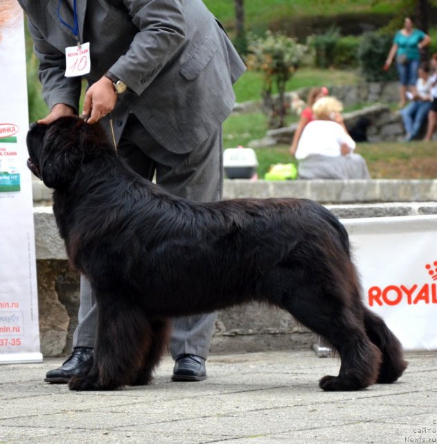 Фотография № 107259