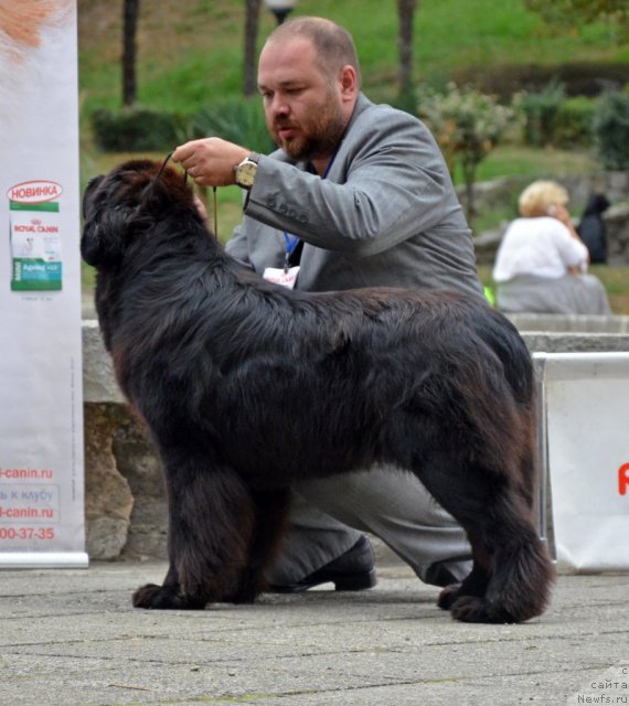 Фотография № 107260