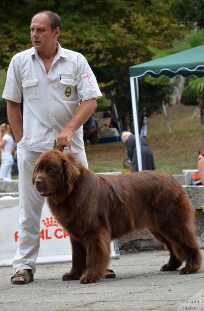 Фотография № 107266