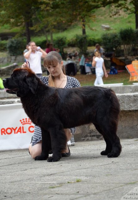 Фотография № 107267