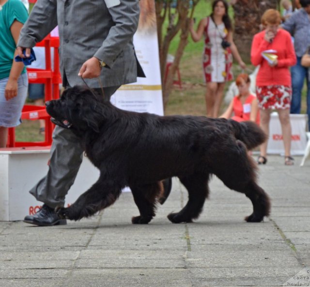 Фотография № 107269