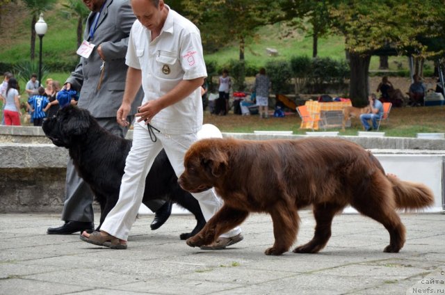 Фотография № 107272