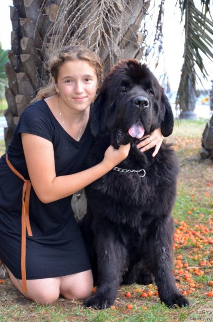 Фотография № 107278