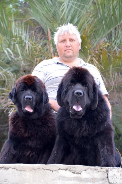 Фотография № 107279