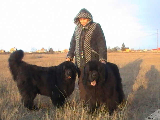 Фотография № 107307