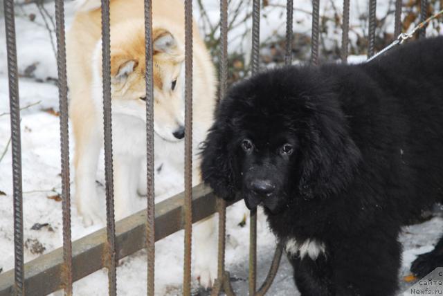 Фотография № 10732