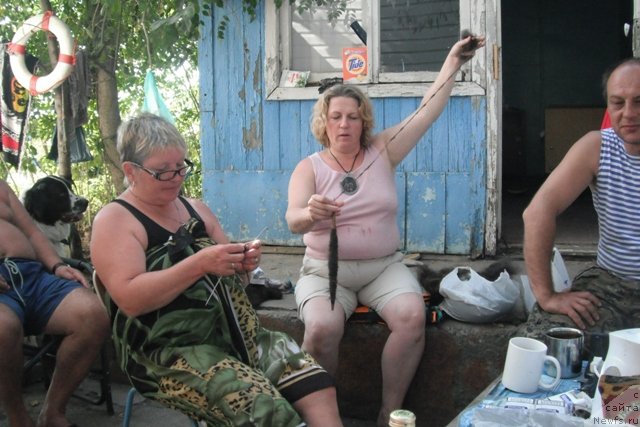 Фотография № 107361