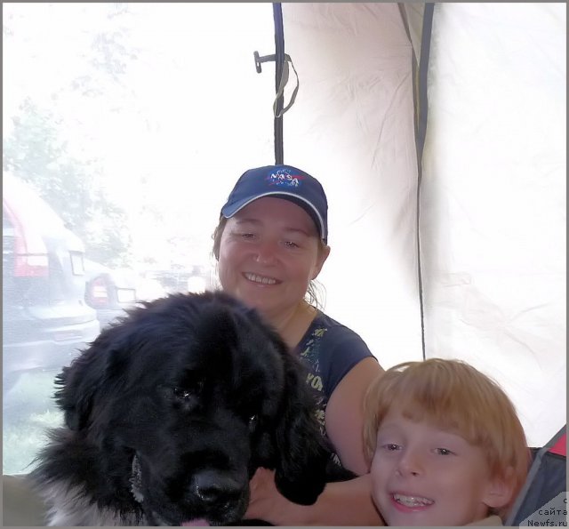 Фото: ньюфаундленд Питерньюф Енигма (Piternyuf Enigma), Наталия Великанова, Паша