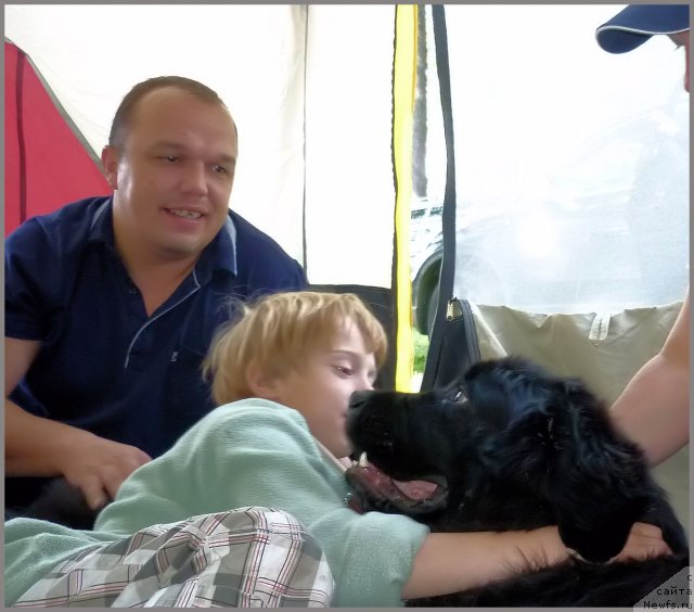 Фото: ньюфаундленд Питерньюф Енигма (Piternyuf Enigma), Паша и Серёжа