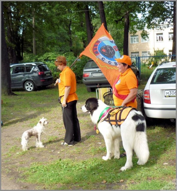 Фото: Ирина Долотова, Яхонт, ТЗД, Ира Соколова