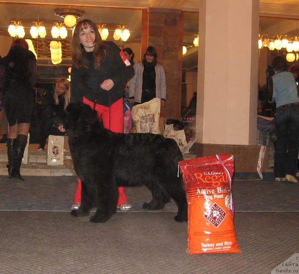 Фотография № 10743