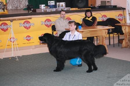 Фотография № 10749