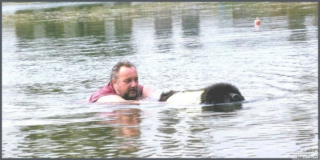 Фото: ньюфаундленд Смигар Талара, Юрий Комов