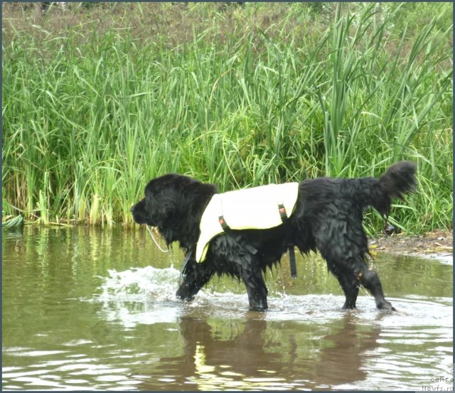 Фотография № 107539