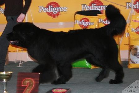 Фотография № 10758