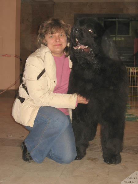 Фото: Наталья Татаринова, ньюфаундленд Ждущий Солнца с Берега Дона